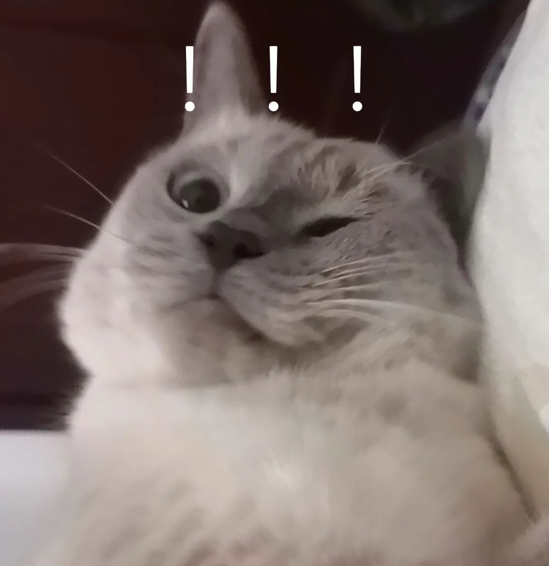 体育运动学校赛艇训练,体育课游泳项目