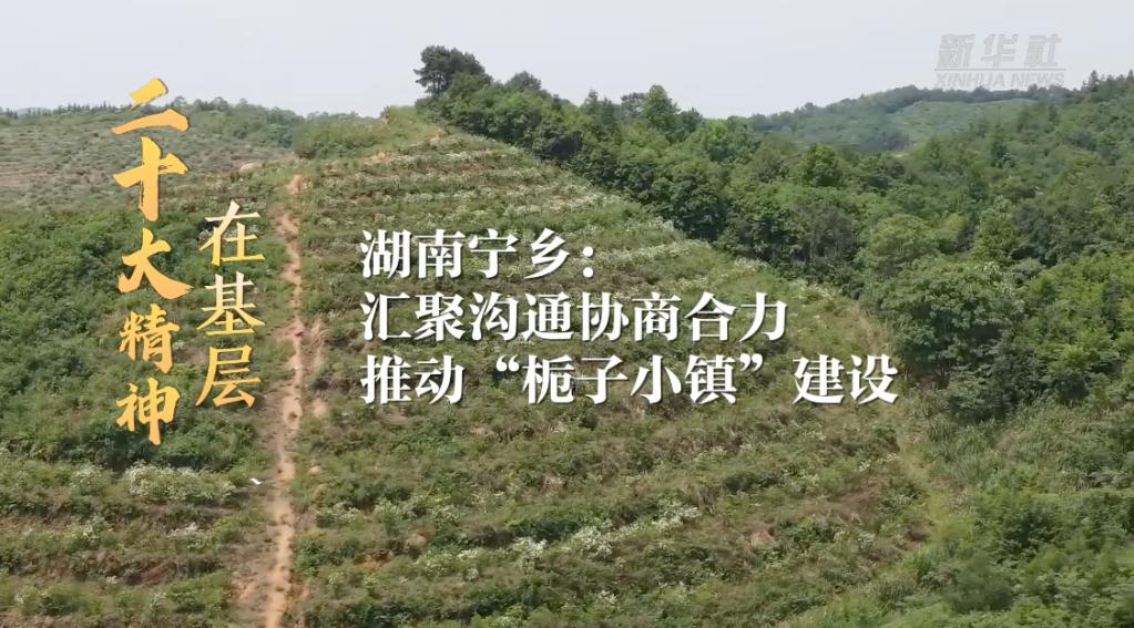 宁乡喻家坳乡栀子小镇,宁乡移动助力栀子小镇