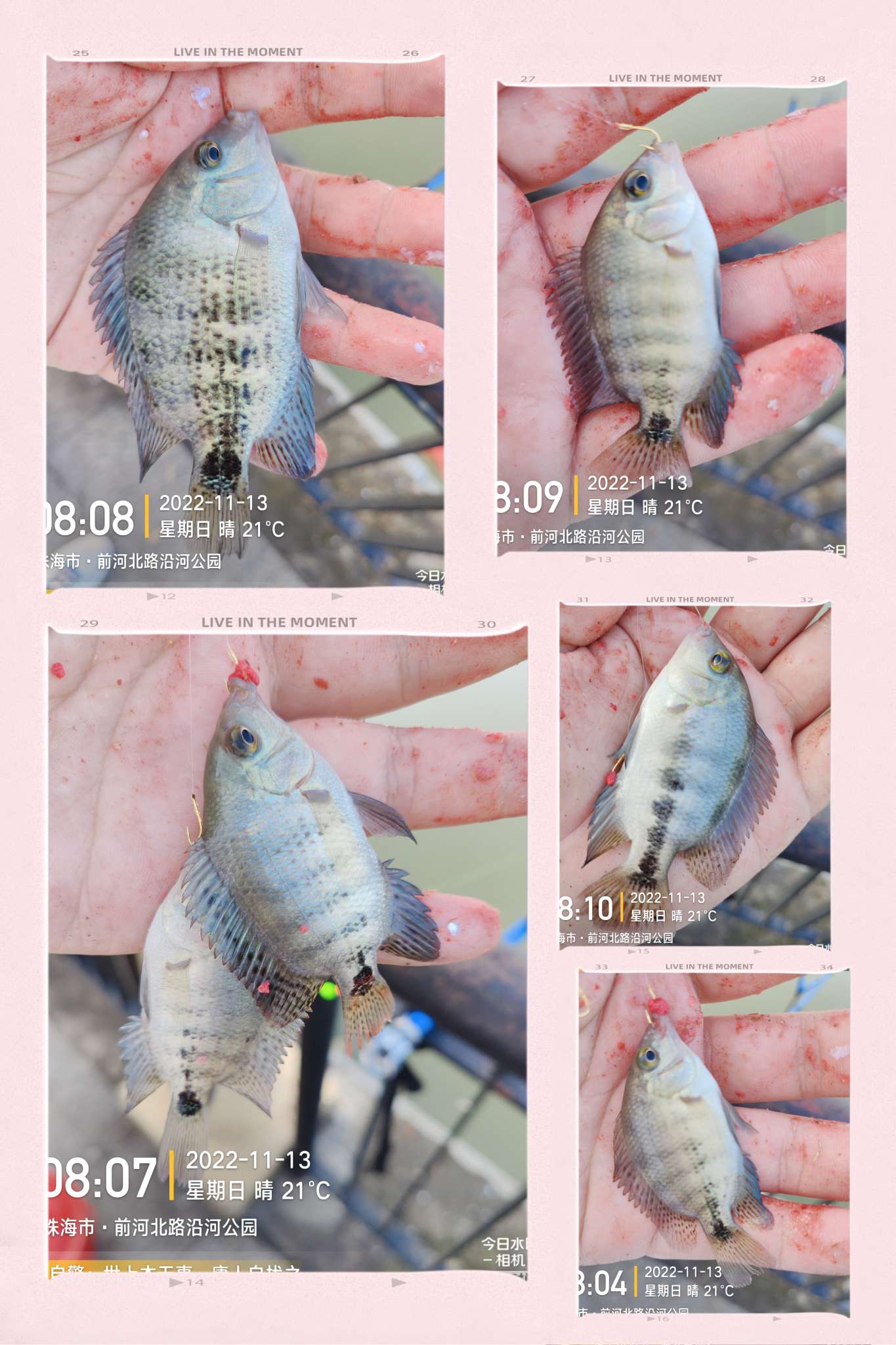 刷新了对钓鱼的认知,钓鱼的十个思维方法