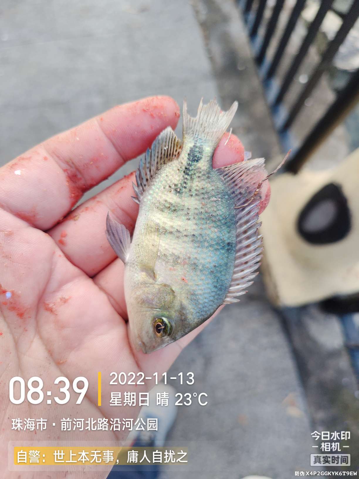 刷新了对钓鱼的认知,钓鱼的十个思维方法