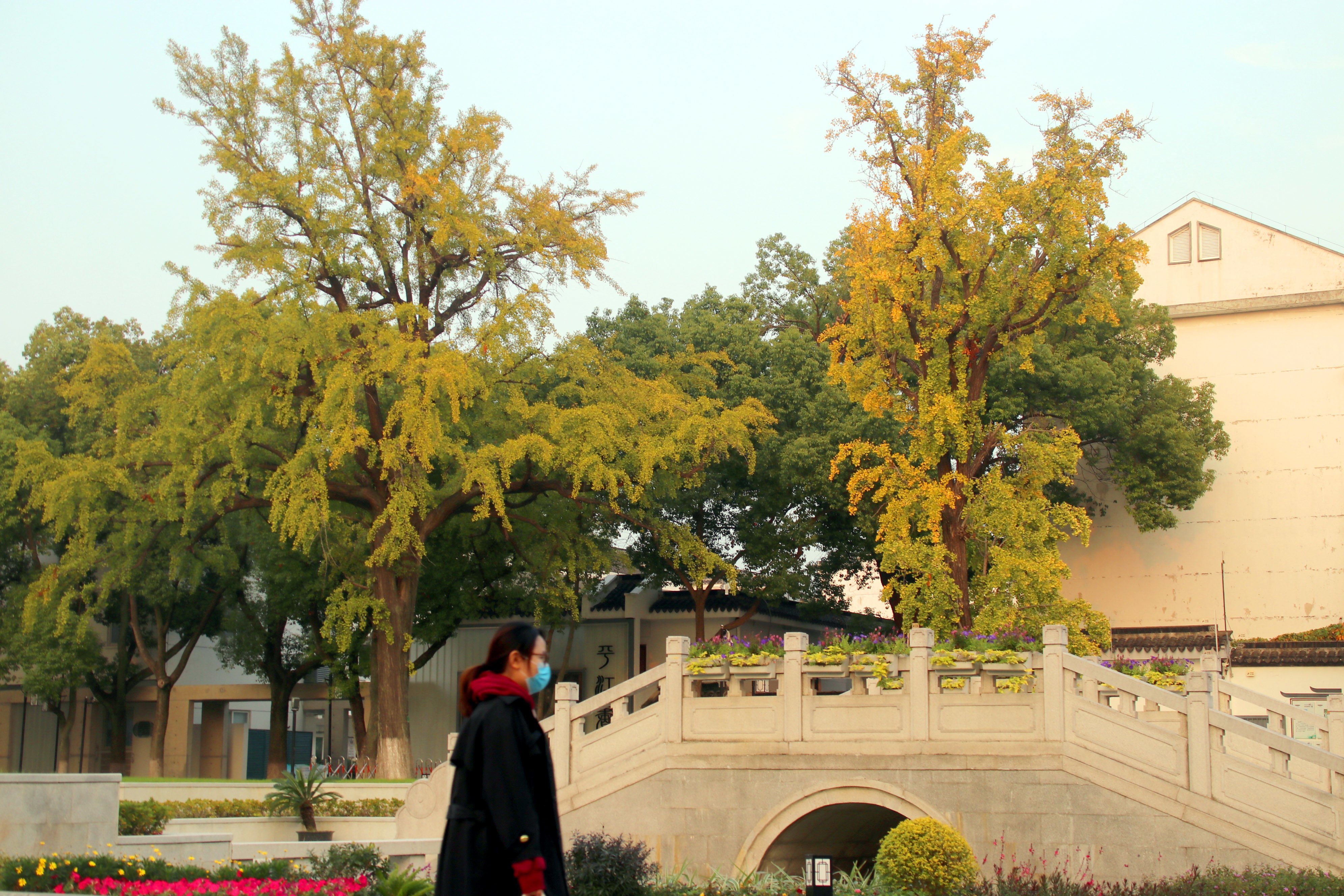 苏州夜色美景图片大全,美景如画的自然风景苏州