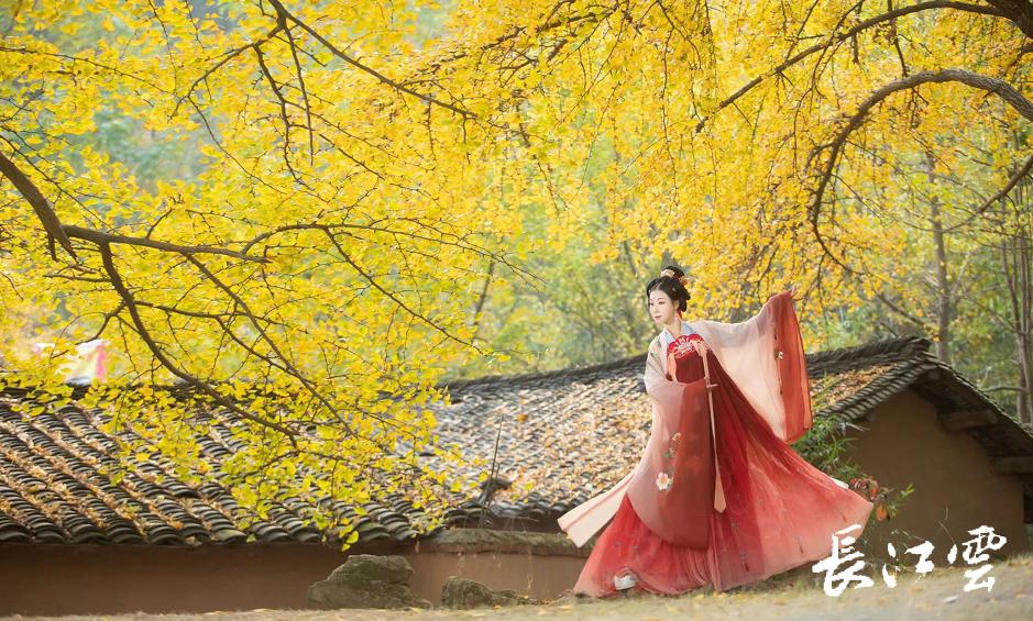 随州千年银杏谷11月能观赏吗,2018随州银杏谷观赏时间