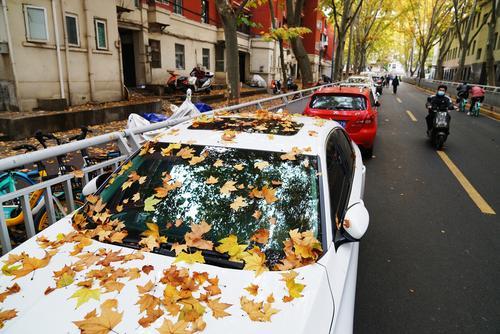 郑州雨中的浪漫,秋天郑州夜晚街头