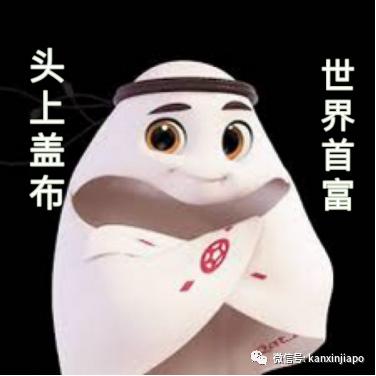 卡塔尔和新加坡哪个离中国最近,新加坡卡塔尔世界杯