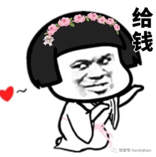 卡塔尔和新加坡哪个离中国最近,新加坡卡塔尔世界杯