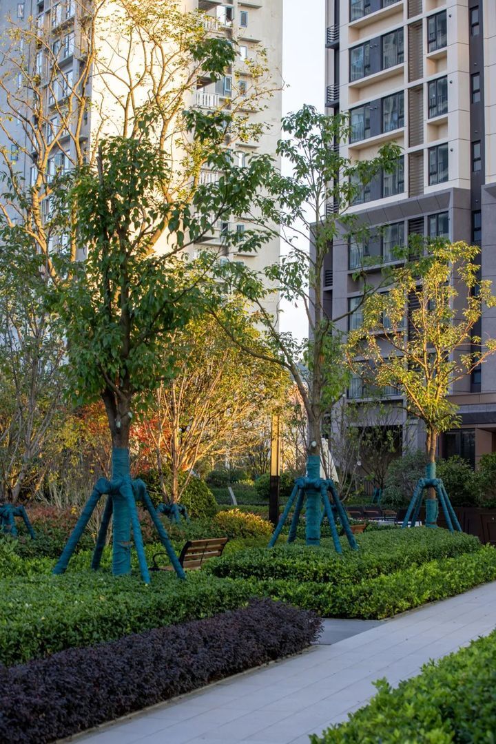 南通开发区万科翡翠公园现在价格,石家庄万科翡翠公园业主集体退房