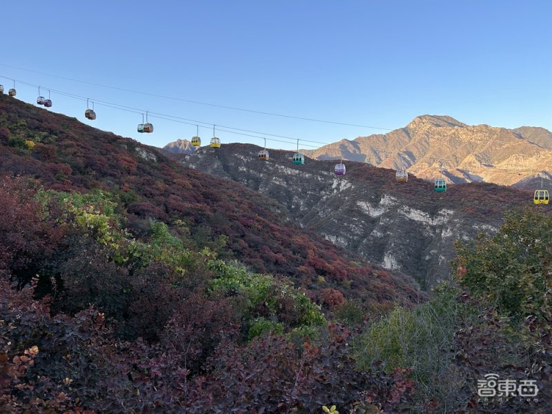 被“小看”的“大个子”，iPhone14Plus到底是谁的菜？