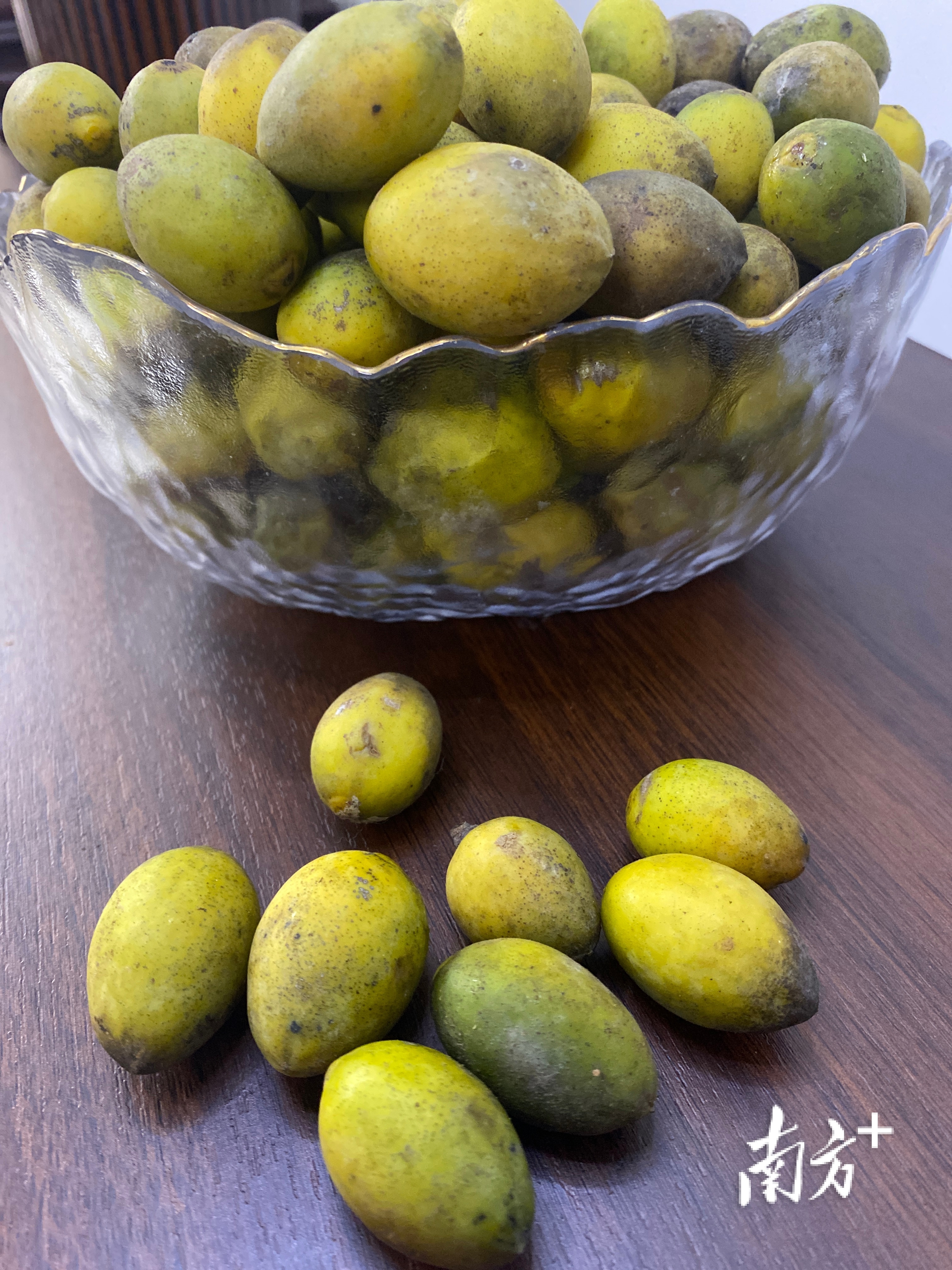 普通橄榄与三捻橄榄的区别,市面上好吃的橄榄有几个品种