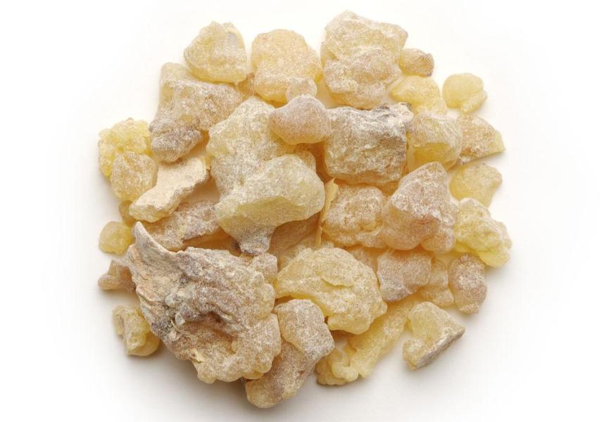 阿拉伯石油丰富的原因,孟晖中东看中国