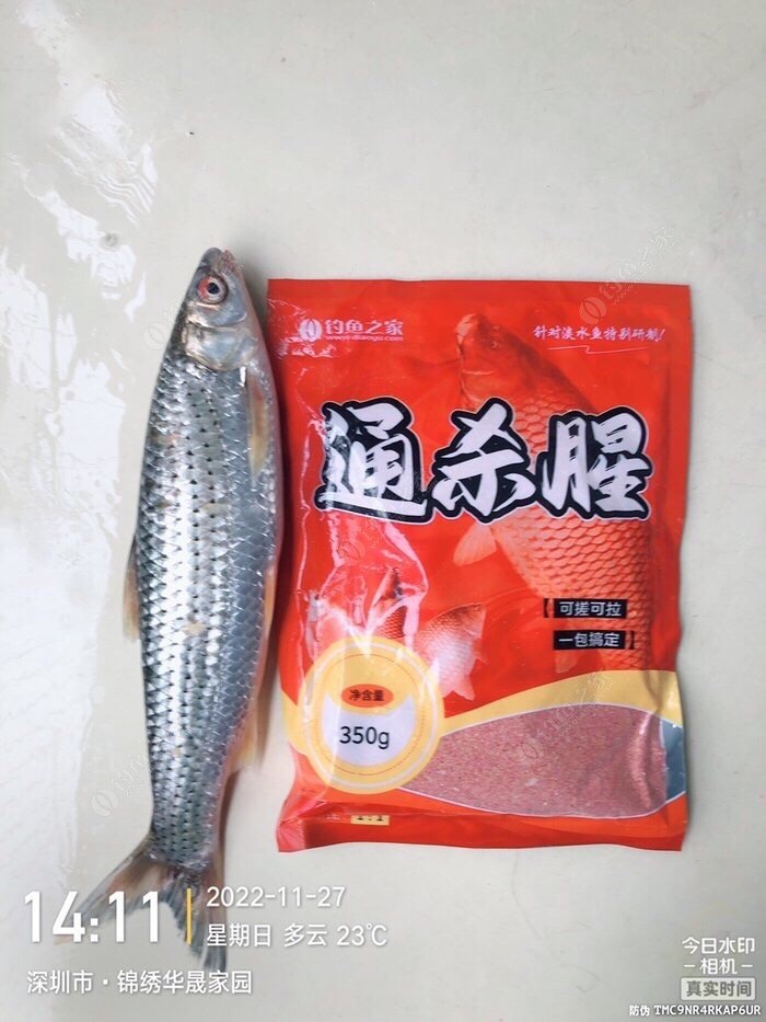 做个理性的人,初级钓鱼者怎么选择渔具