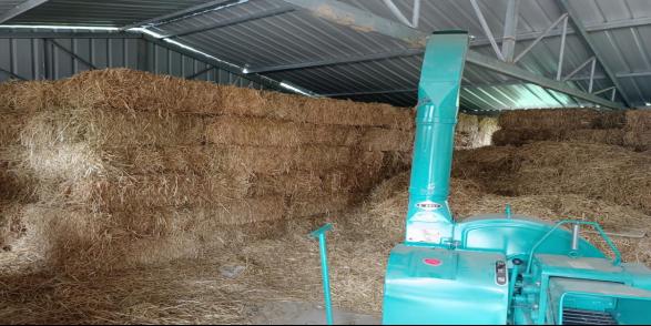 清水县杨李村,杨李村