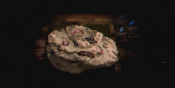 1月份适合玩什么游戏,元旦出什么游戏最好玩儿