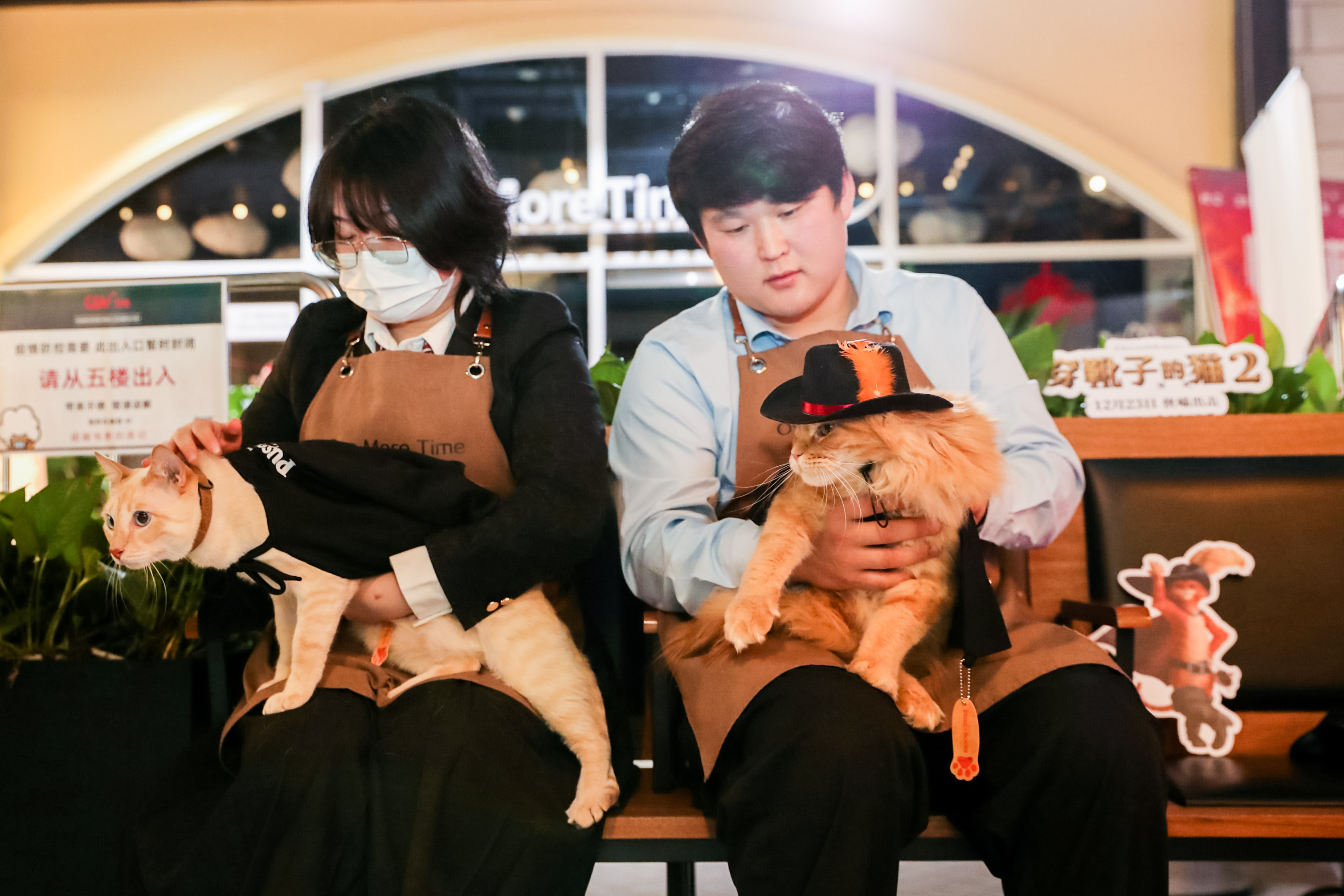 穿靴子的猫讲的是磨坊主的小儿子,《穿靴子的猫2》高能口碑开分