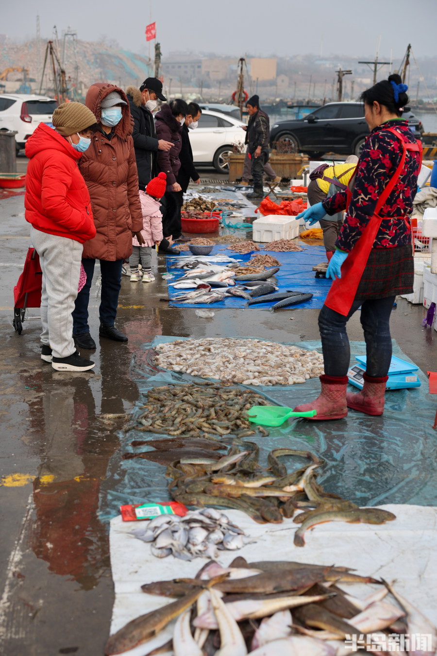 渔船海鲜市场青岛,海鲜市场渔船