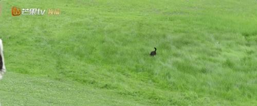 神仙姐姐的第一个现代剧,盘点神仙姐姐演的现代电视剧