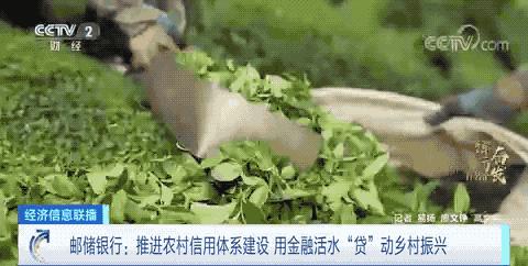 踔厉奋发看名企｜邮储银行网点数量全球第一！网点覆盖我国约99%县市，连接6.5亿客户