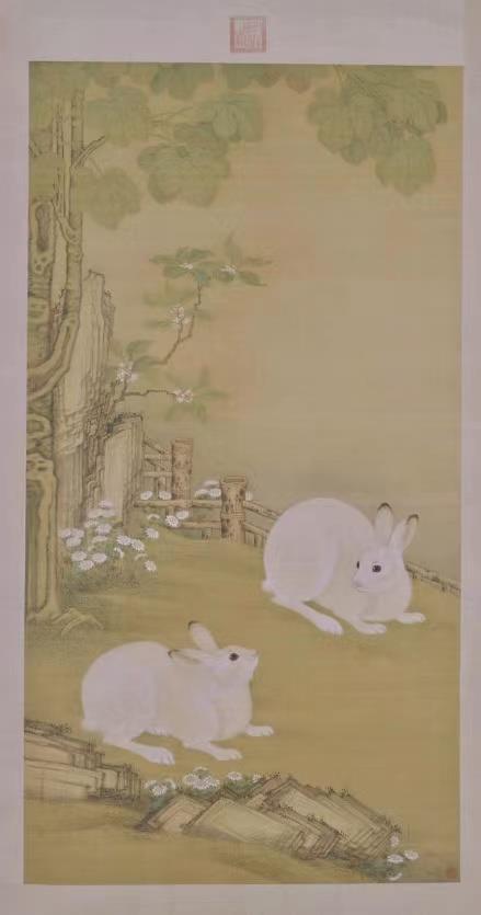 兔年有什么兔子,兔年遇见野兔预兆