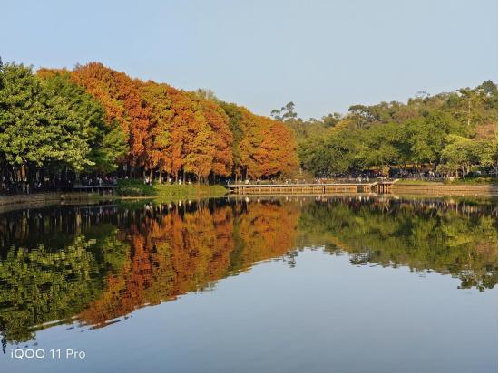 iqoo11pro用三年体验,iqoo11pro有哪些好玩的