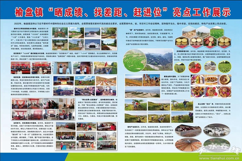 武山县重点工作会议,武山县乡村振兴四个一批