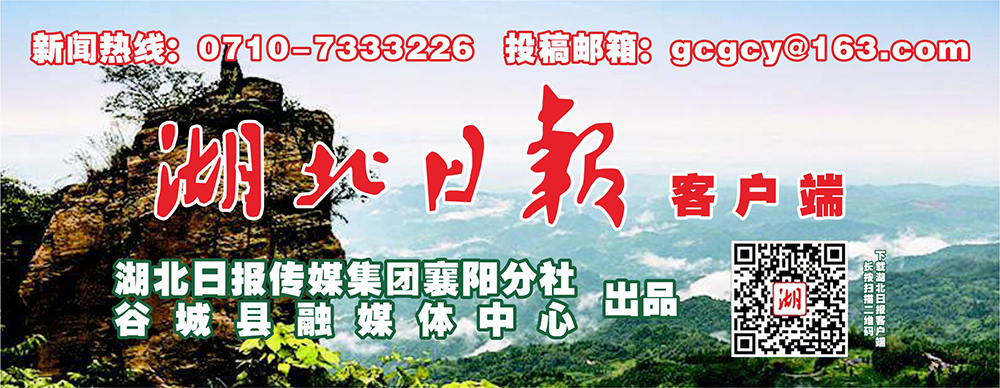 谷城县实验小学研学活动,实验小学活力运动