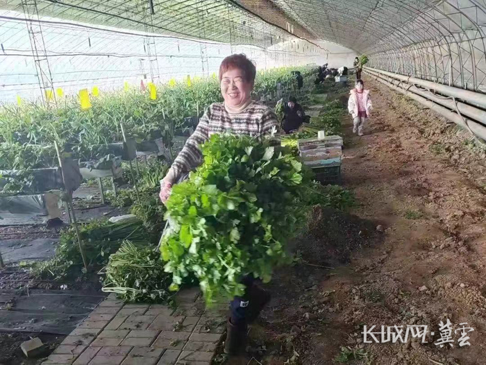 辛巴助力五常大米,辛巴助力农业