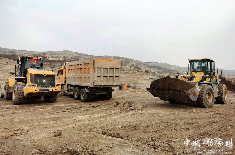 关岭县中药材产业园项目,马关县招商引资项目