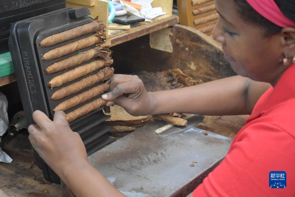 走进古巴雪茄文化,古巴雪茄纪录片