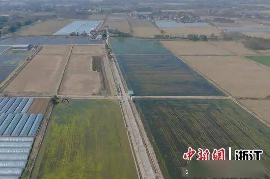 稻渔综合种养概念,稻渔综合种养发展前景