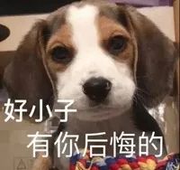 还在为写作文的问题发愁吗,都说论文难写有哪些写论文的诀窍