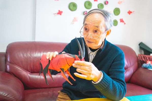 七旬老人折纸大全,老年舞蹈手舞简单又好跳