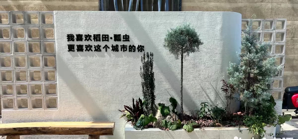 Young起来的三线城市