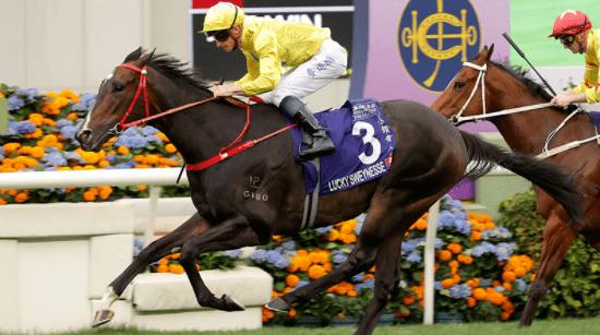 一马粉丝团现场见证新任打吡王诞生，2023年香港打吡大赛完赛！