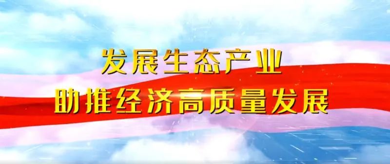 发展生态农业与乡村振兴,民乐新模式推动农业高质高效发展