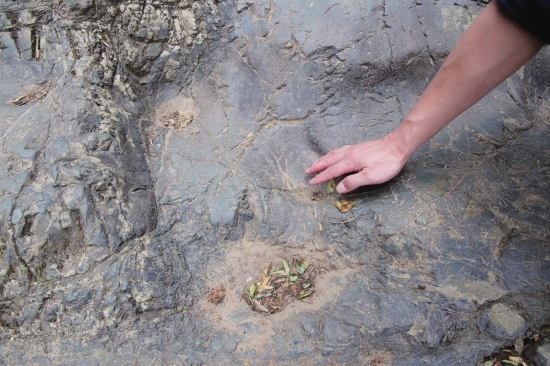 南岭如何重塑中国,湖湘地理最新消息