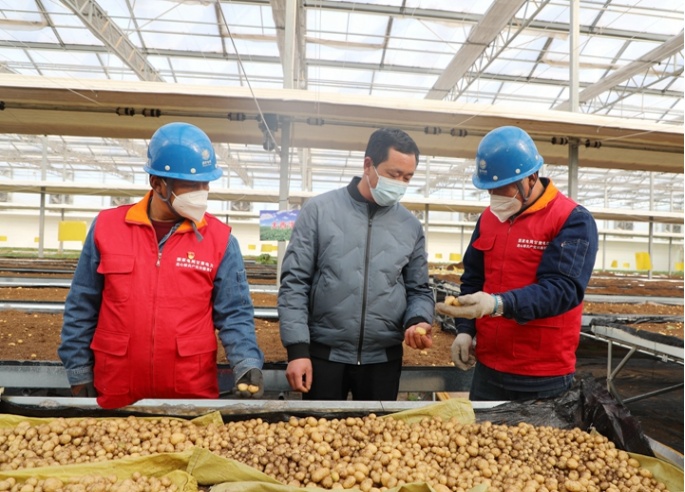 定西土豆产业带动当地经济,甘肃定西土豆产业扶贫