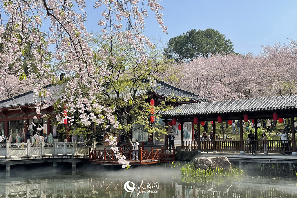 春天花“卉”开朵朵含情迎客来