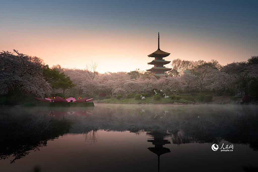 春天花“卉”开朵朵含情迎客来