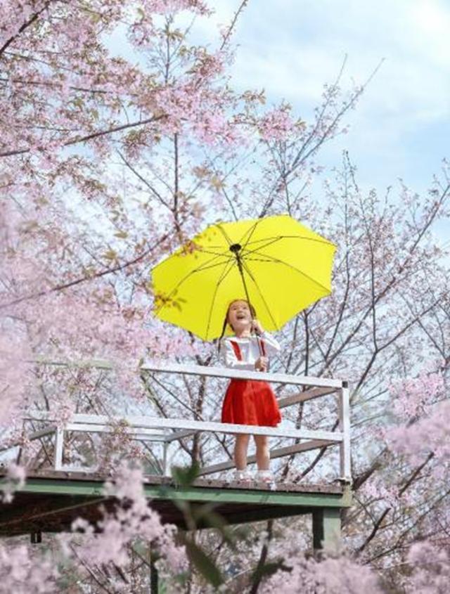 新品丨三镜齐发，17mm、50mm、23mm灵动登场！