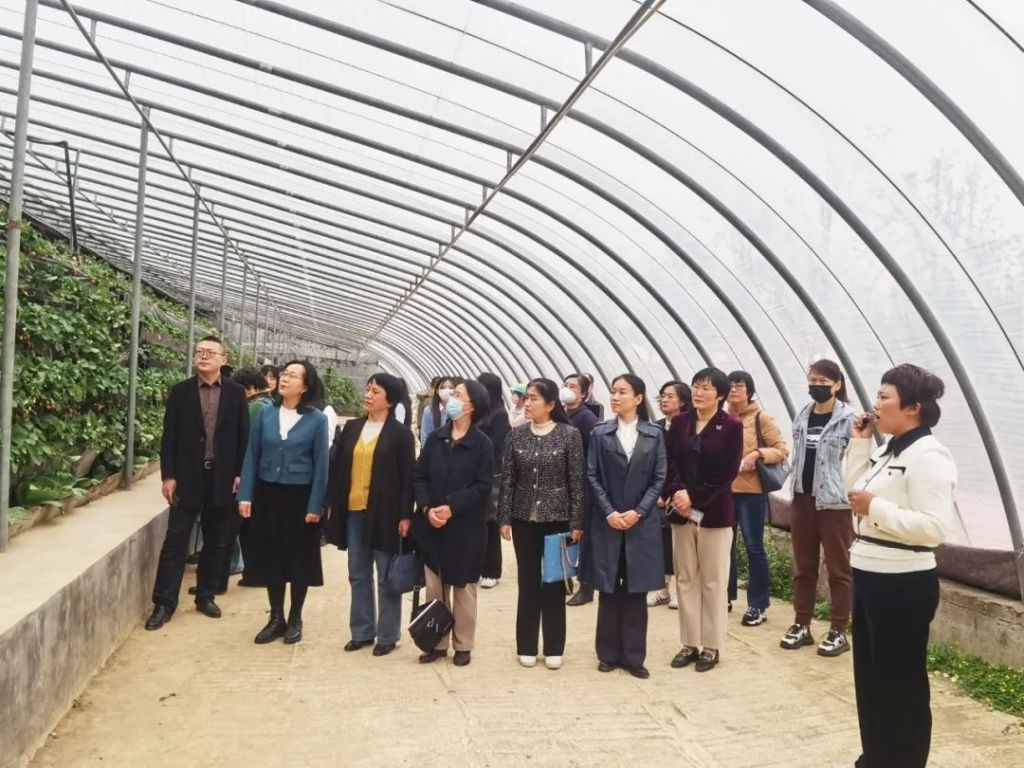 闈掑矝甯傚ぇ瀛︾敓鍒涗笟瀛靛寲,鍒涗笟瀛靛寲鍔╁姏闈掑勾鍒涗笟灏变笟