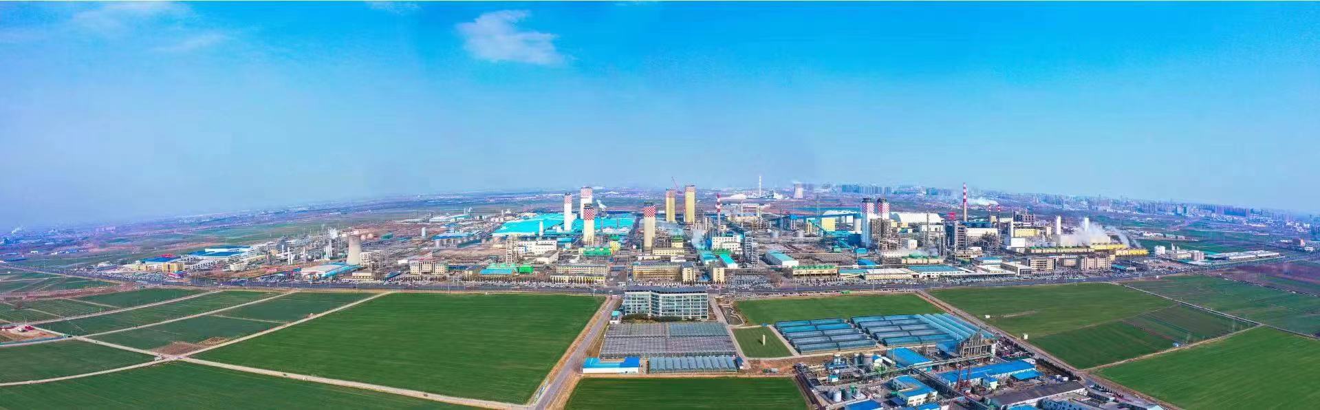 勇立潮头奋楫争先走在前列,勇立潮头踔厉奋发向未来