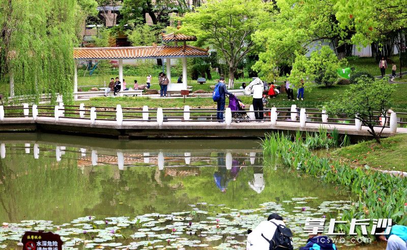 芳草园手绘地图,芳草优美落英缤纷图片