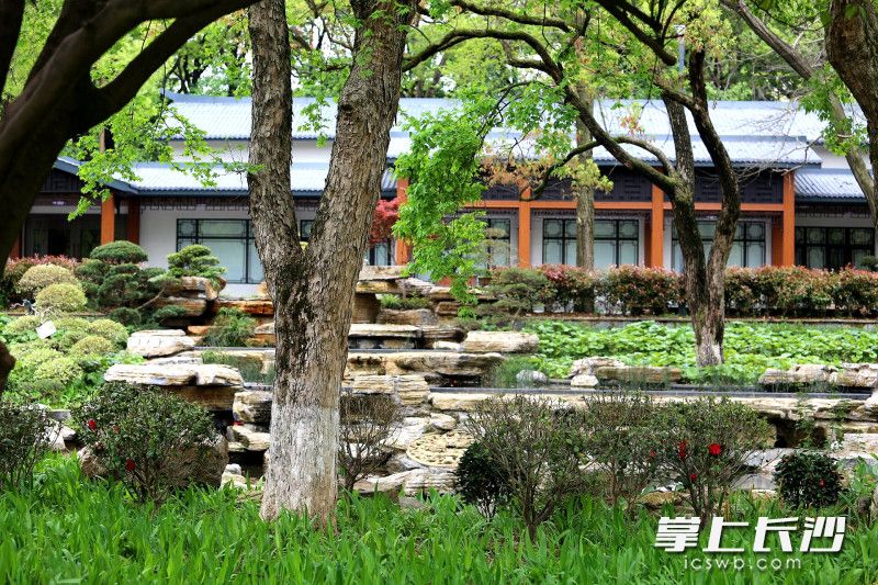 芳草园手绘地图,芳草优美落英缤纷图片