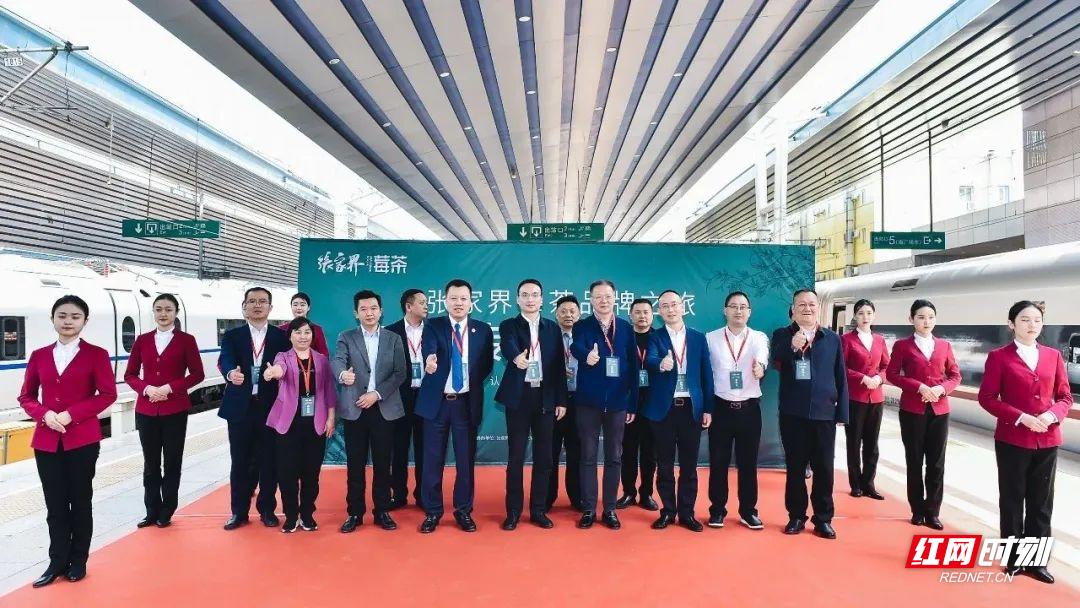 张家界莓茶之旅,张家界莓茶品牌之旅