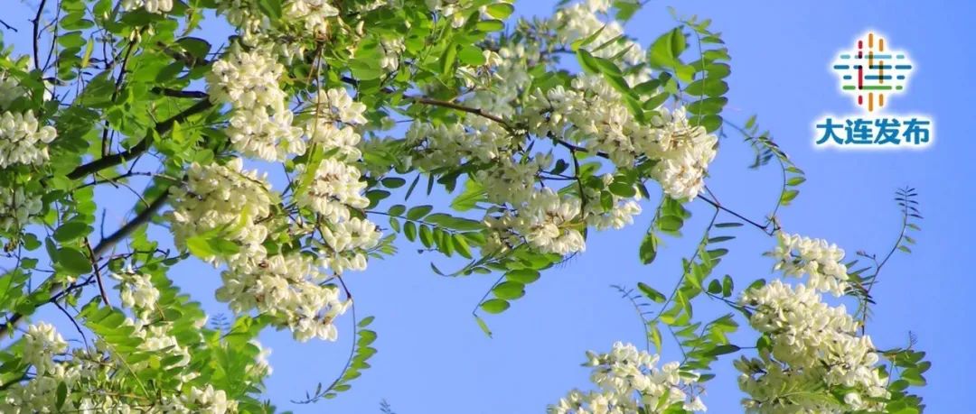 嗨玩大连团购,嗨玩20枚游戏币