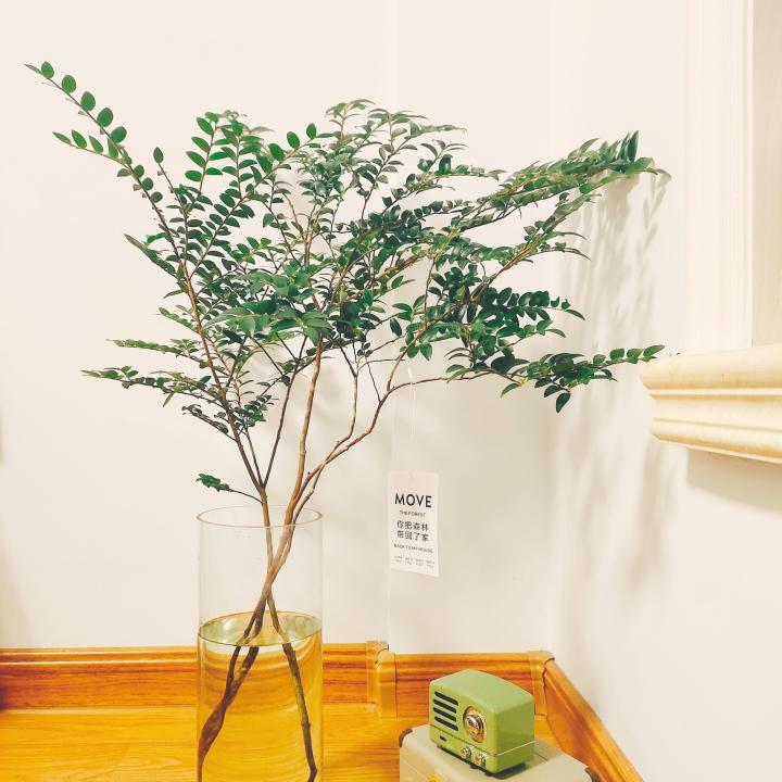 收柴火生意利润多少钱一个月,农村柴火比较多适合做什么生意