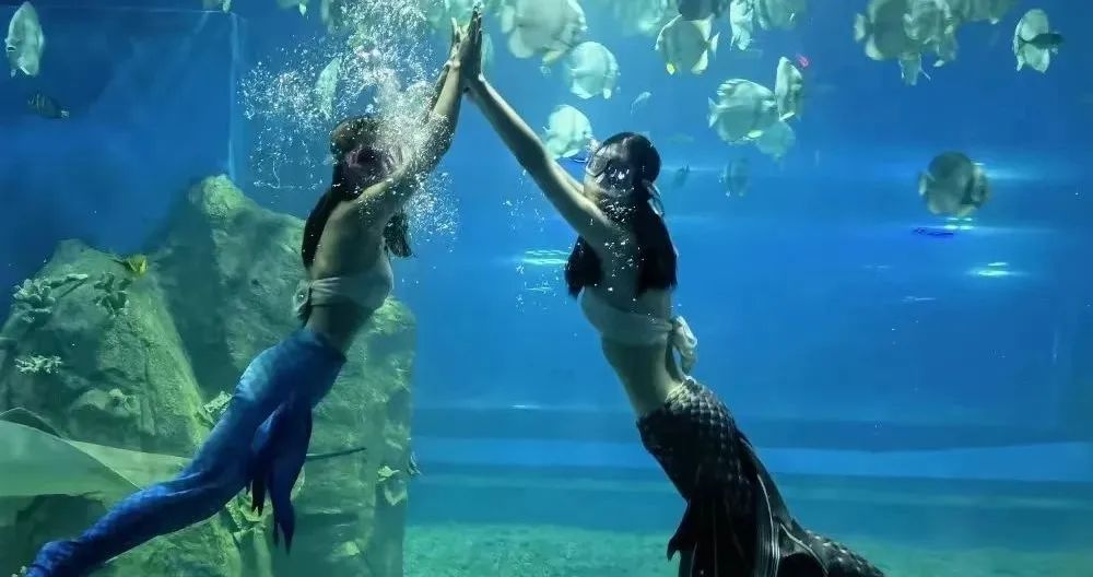 拒绝“特种兵”旅游内卷五一来湘潭“FUN”肆嗨