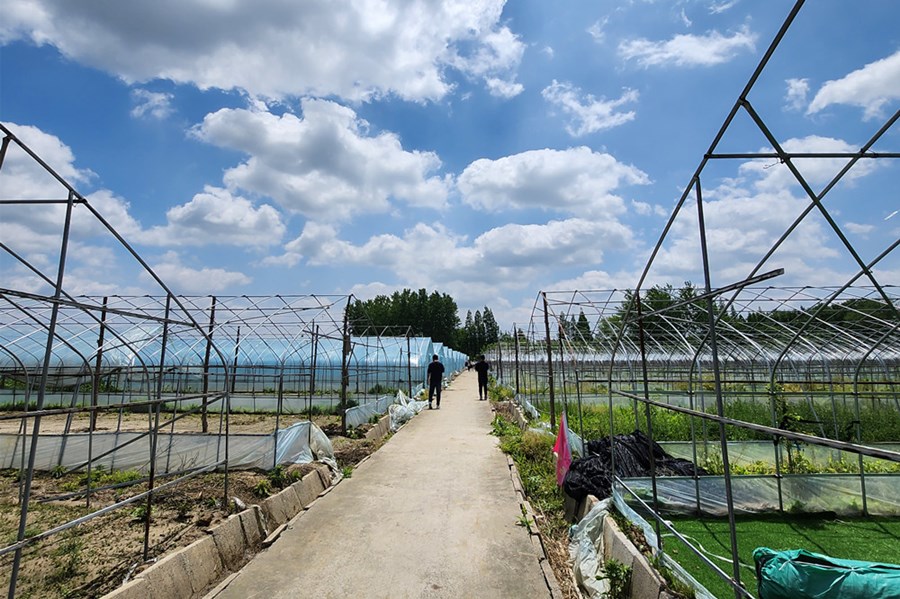 大学生返乡创业有秘笈,大学生回乡创业工作简介