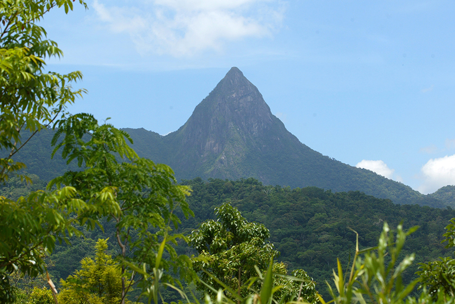 海南五指山旅游攻略一日游,五一海南三亚旅游攻略