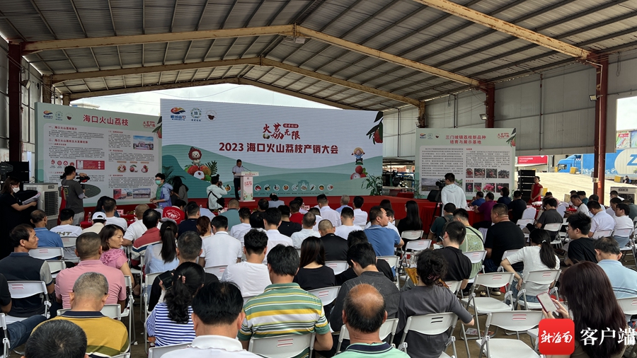 荔枝产销对接会,海口火山荔枝产销大会