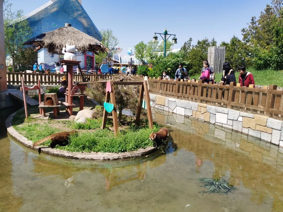 向海乐活节音乐节,2024滨城向海乐活节